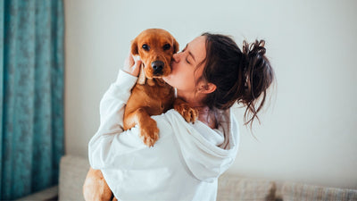 Un amico a quattro zampe, perchè i cani fanno bene alla salute