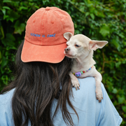 Scendo il Cane Hat 🧢