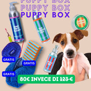 Set Puppy Box