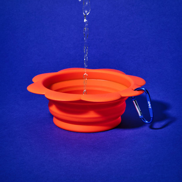 idratazione porta acqua per cani jampy