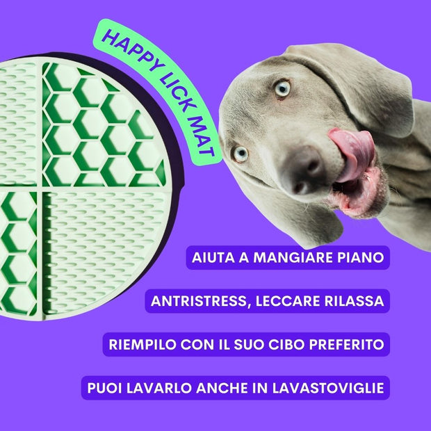 antistress cane jampy