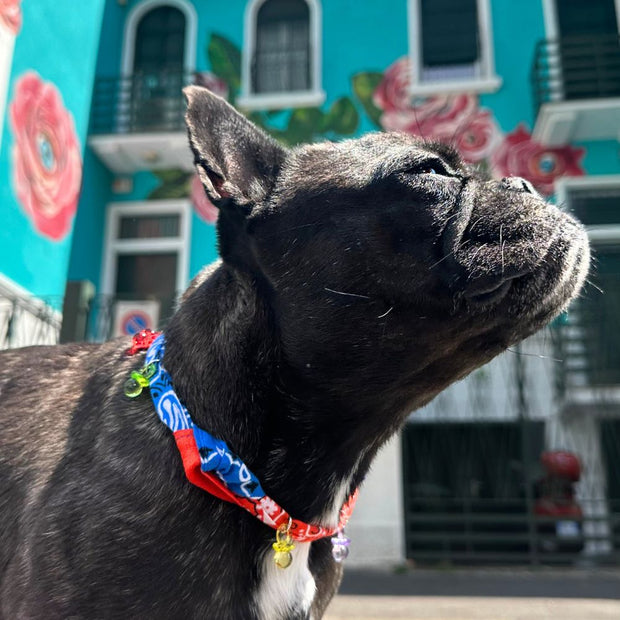 Collanina Bandana