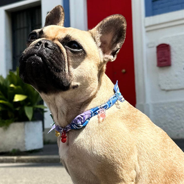 Collanina Bandana