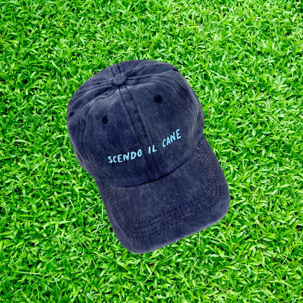 Scendo il Cane Hat 🧢