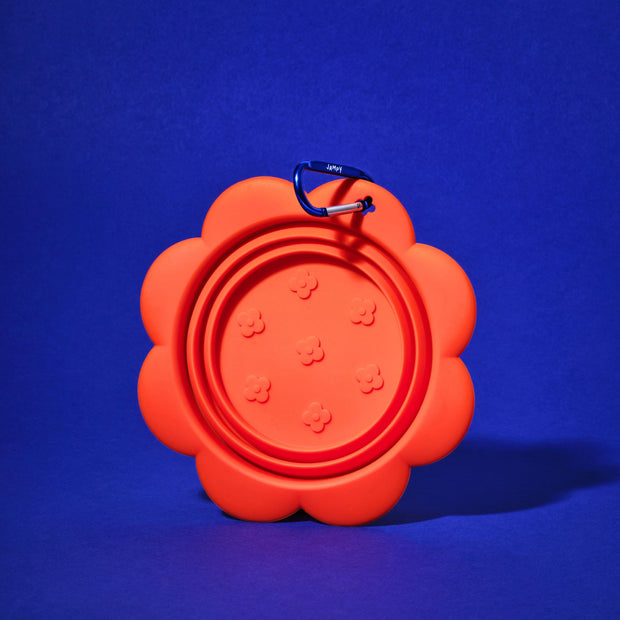 ciotola in silicone per cani jampy