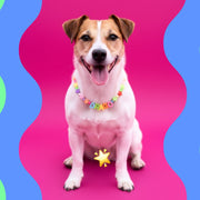 accessori personalizzabili jampy