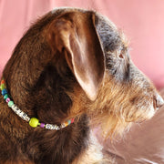 accessori made in italy jampy