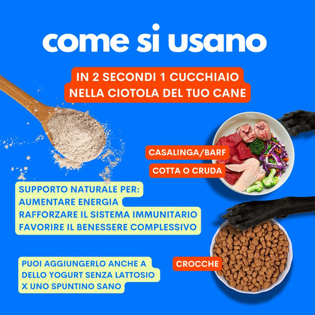 crocchette e dieta casalinga con gli ingredienti di jampy