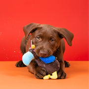 giochi sicuri per cani jampy