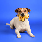 giocattoli per cani da gioco jampy