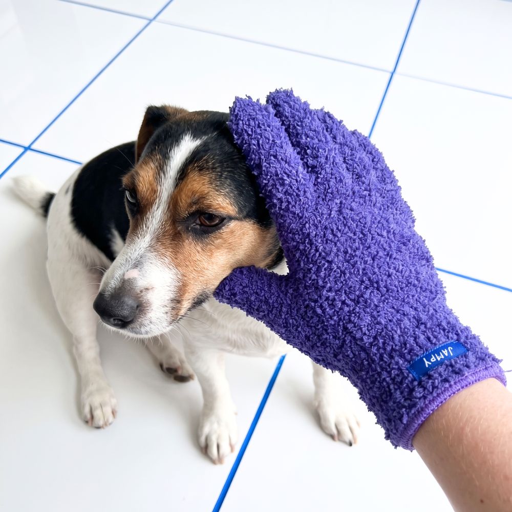Il Guanto di One Two Clean