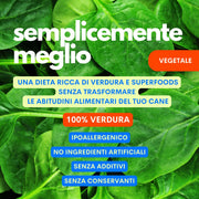 condisci alimenti del cane verdure jampy