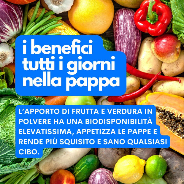 le verdure nella dieta del cane jampy