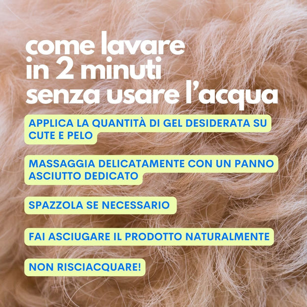 Shampoo secco per cuccioli e cani con pelle sensibile formula delicata One Two Clean