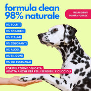 Shampoo secco ipoallergenico per cani delicato sulla cute e senza profumazioni aggressive Jampy