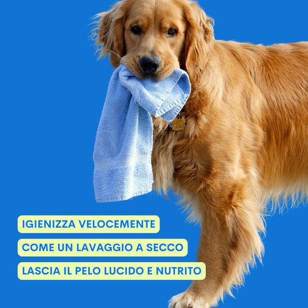 Pulizia rapida del cane con lo shampoo secco One Two Clean perfetto in viaggio o dopo la passeggiata