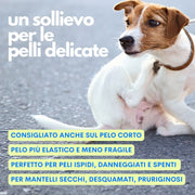 Spray ideale per cani a pelo riccio come barboncini o lagotti – top seller Jampy