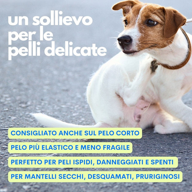 Spray ideale per cani a pelo riccio come barboncini o lagotti – top seller Jampy