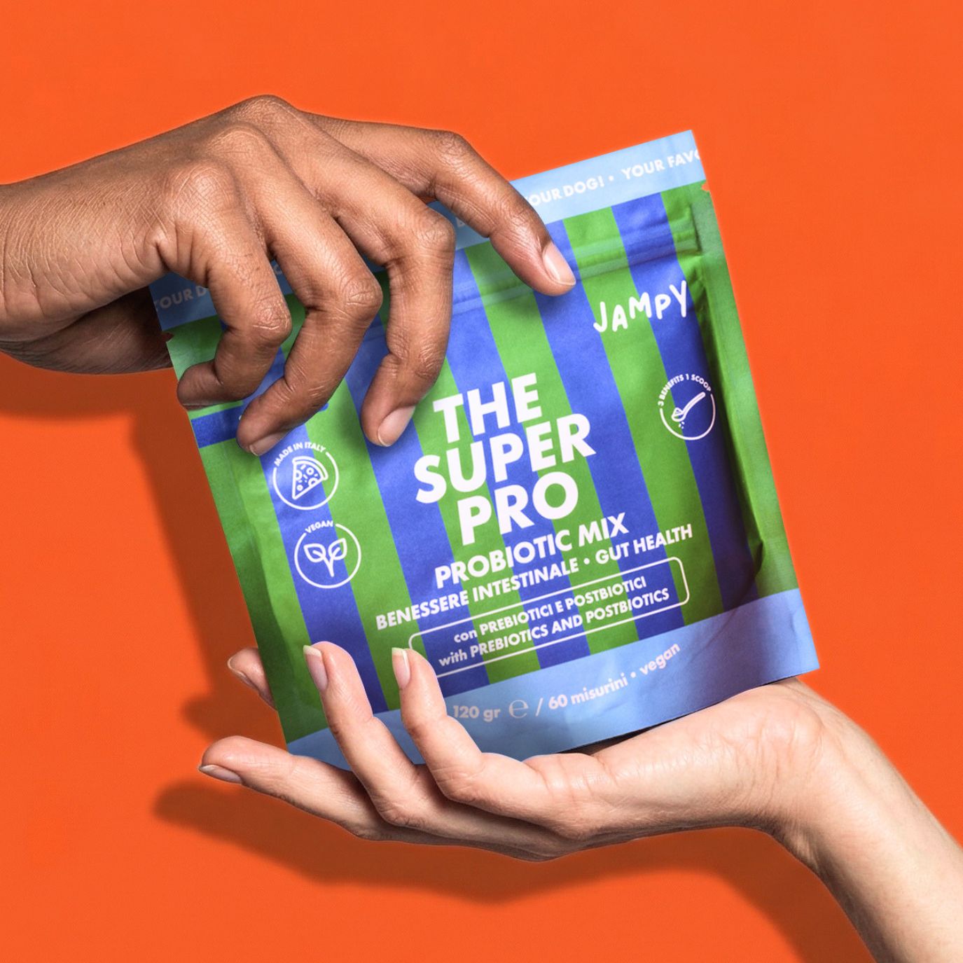 supporto gastrointestinale per cani ampy